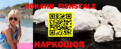 крисы Можга