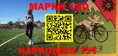 крисы Можга