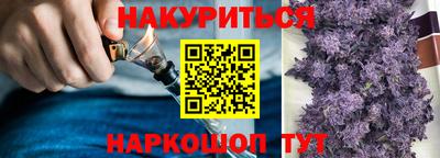 стаф Моздок