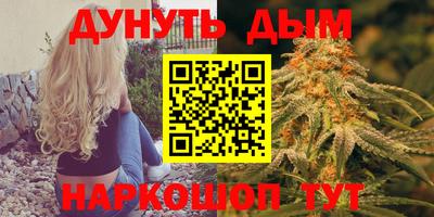 крисы Можга