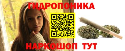 крисы Можга