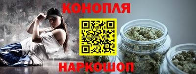 крисы Можга