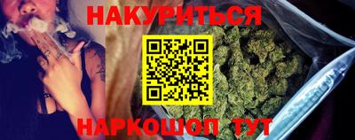 крисы Можга