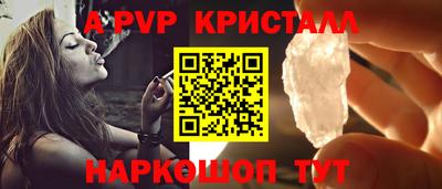 крисы Можга