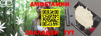 крисы Можга