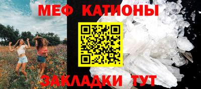 крисы Можга