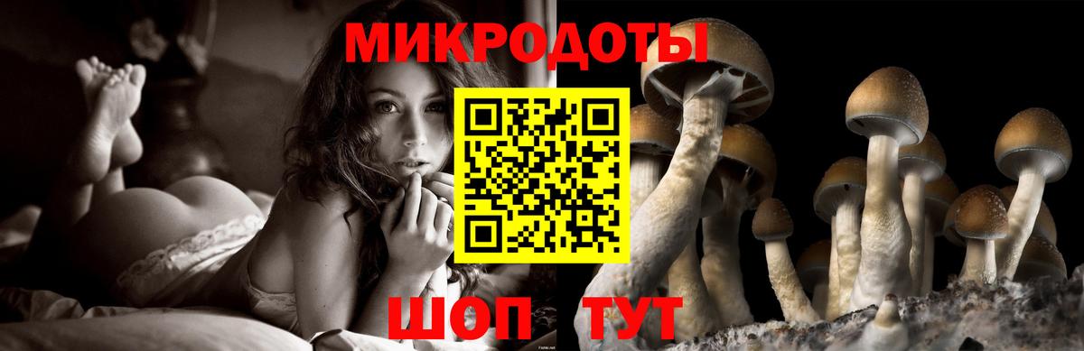 Псилоцибиновые грибы мухоморы  Вход с VPN  Галлюциногенные грибы GOLDEN TEACHER  наркошоп  Дивногорск 