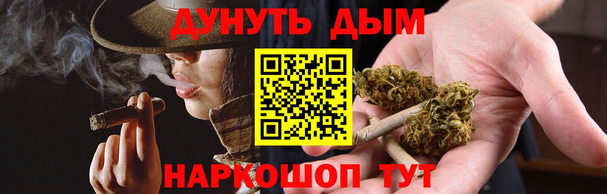 Каннабис планчик  Вход с VPN  Марихуана ГИДРОПОН  Дивногорск  Конопля сатива 